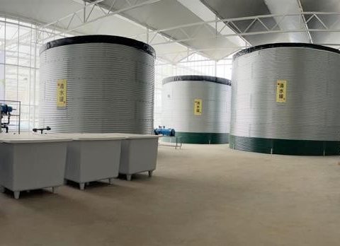 Çin'de domatesler için üç su tankı