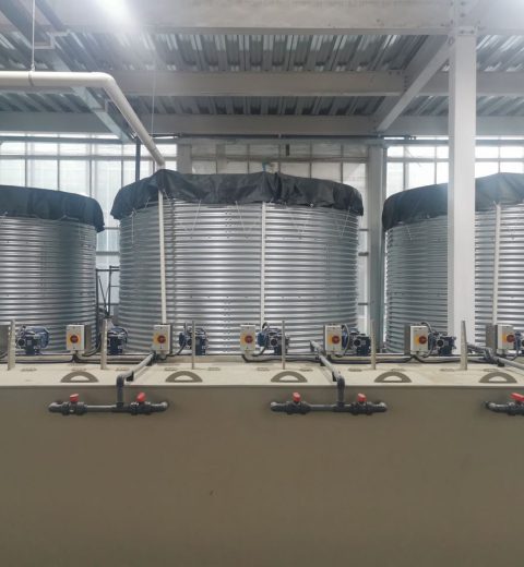 Çin'deki Horti İnovasyon Parkı'ndaki su depolama tankları