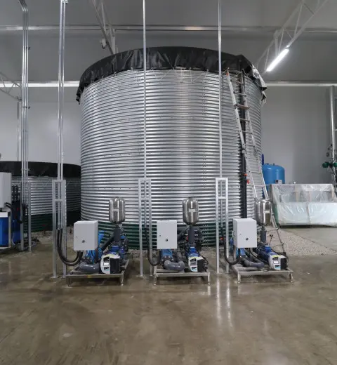 Domates ve salatalık için sulama suyu, Güney Kore