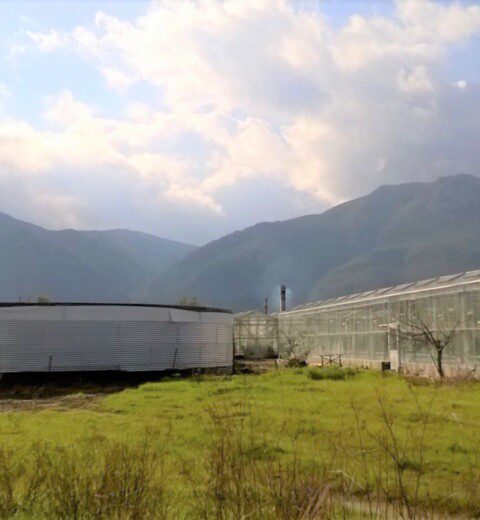 Hidroponik için su depoları, Yunanistan